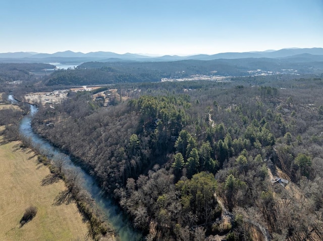 LOT13 Ridge Rd, Blue Ridge GA, 30513 land for sale