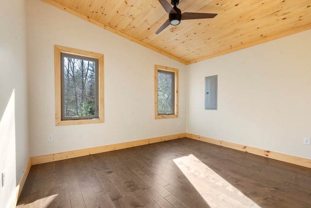 unfurnished room featuring lofted ceiling, dark wood finished floors, a wealth of natural light, and electric panel