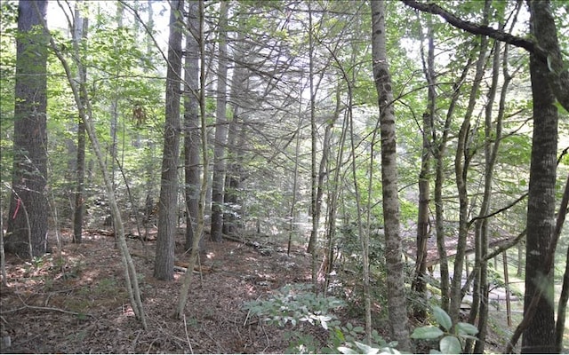 LOT6 Baker Ln, Hiawassee GA, 30546 land for sale