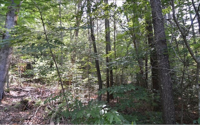 Listing photo 3 for LOT6 Baker Ln, Hiawassee GA 30546