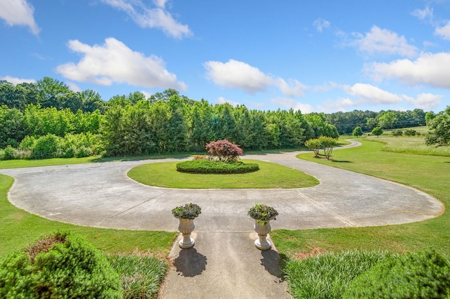 226 Euharlee Five Forks Rd, Kingston, GA 30145 - view of community with a yard and curved driveway