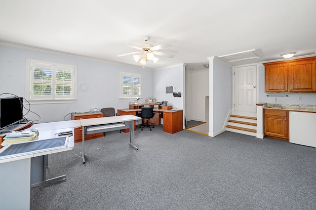 226 Euharlee Five Forks Rd, Kingston, GA 30145 - carpeted home office featuring healthy amount of natural light, ornamental molding, ceiling fan, and a sink