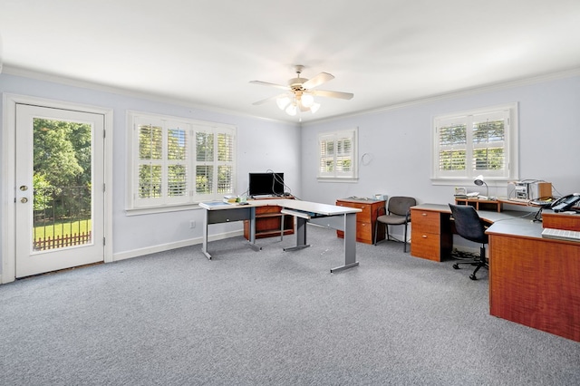 226 Euharlee Five Forks Rd, Kingston, GA 30145 - office featuring ornamental molding, light carpet, ceiling fan, and baseboards
