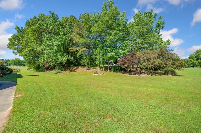 226 Euharlee Five Forks Rd, Kingston, GA 30145 - view of green lawn