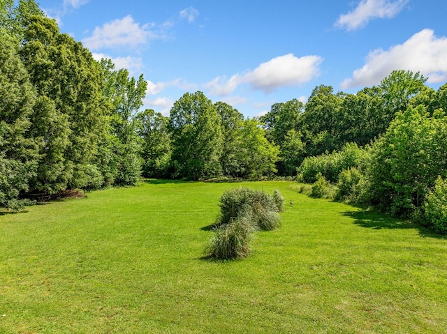 226 Euharlee Five Forks Rd, Kingston, GA 30145 - view of green lawn