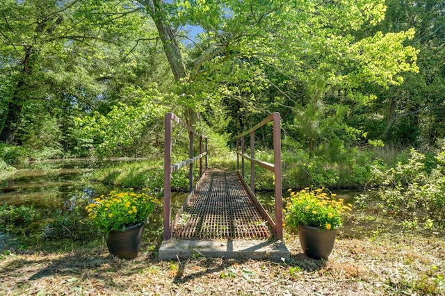 226 Euharlee Five Forks Rd, Kingston, GA 30145 - view of surrounding community