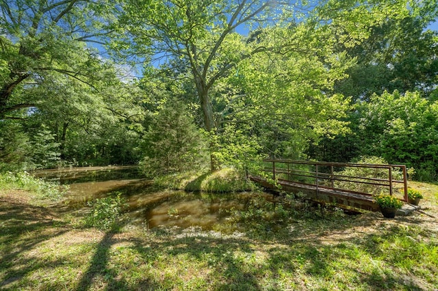 226 Euharlee Five Forks Rd, Kingston, GA 30145 - view of yard featuring a wooded view