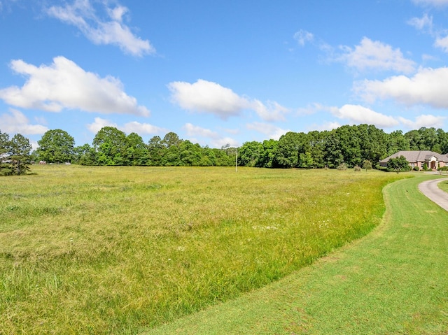 226 Euharlee Five Forks Rd, Kingston, GA 30145 - view of yard