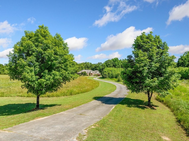 226 Euharlee Five Forks Rd, Kingston, GA 30145 - view of property's community featuring a yard and driveway