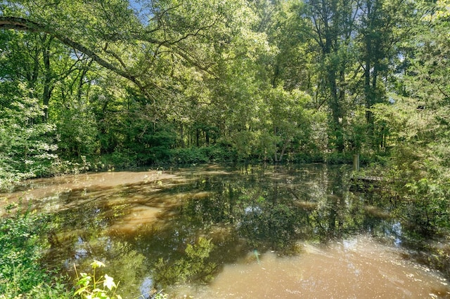 226 Euharlee Five Forks Rd, Kingston, GA 30145 - view of wooded area