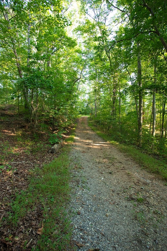 0 Mill Crk, Dawsonville, GA 30534