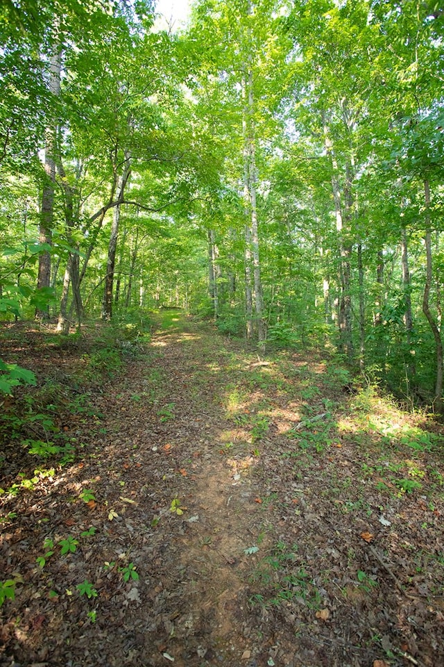 0 Mill Crk, Dawsonville, GA 30534
