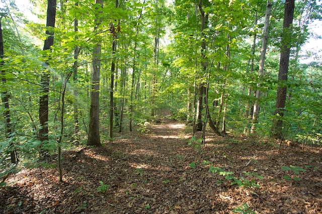 0 Mill Crk, Dawsonville, GA 30534