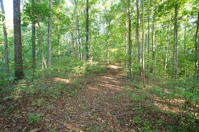 0 Mill Crk, Dawsonville, GA 30534