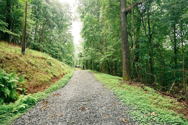 61 Morningside Ct, Ellijay, GA 30540 - view of road with a forest view