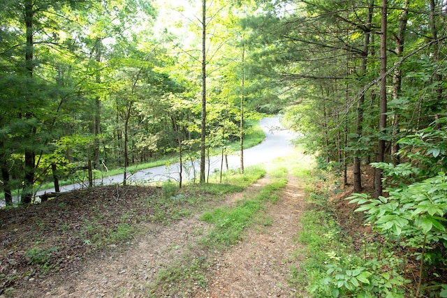 Listing photo 2 for LOT89 Nelson Cir, Blairsville GA 30512