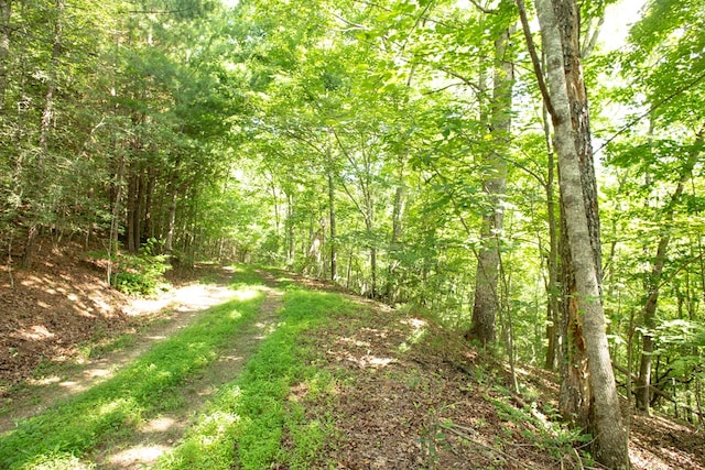 Listing photo 3 for LOT89 Nelson Cir, Blairsville GA 30512