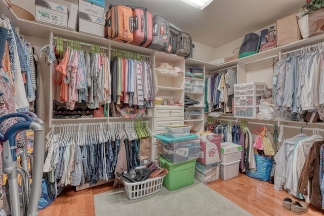 spacious closet featuring light hardwood / wood-style floors