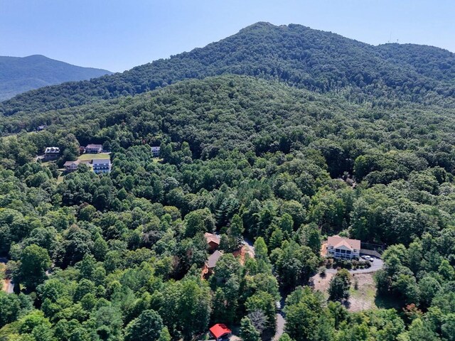 bird's eye view featuring a mountain view