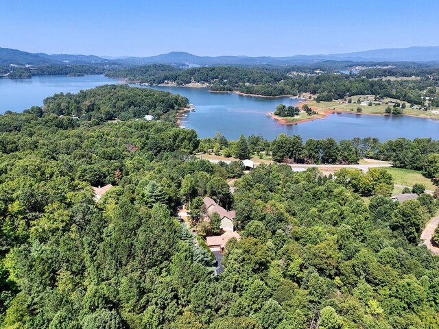 birds eye view of property with a water and mountain view