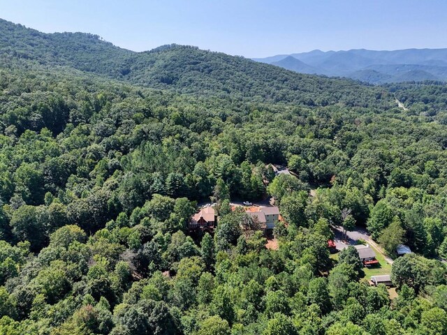 aerial view with a mountain view