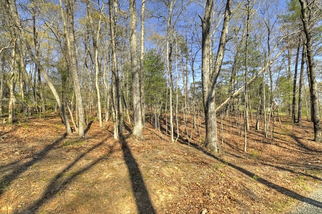 LOT13 Katie Haven Rd, Morganton, GA 30513