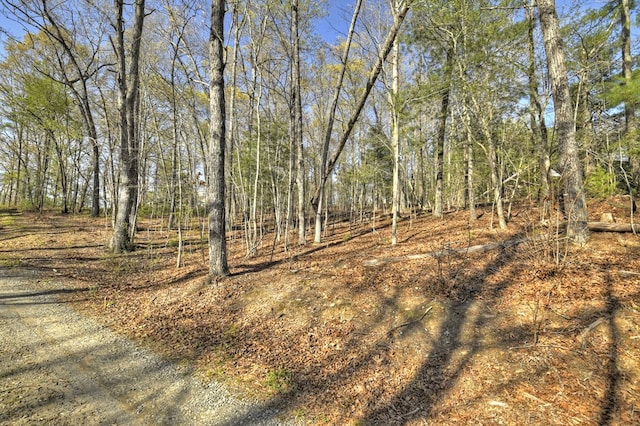LOT13 Katie Haven Rd, Morganton, GA 30513