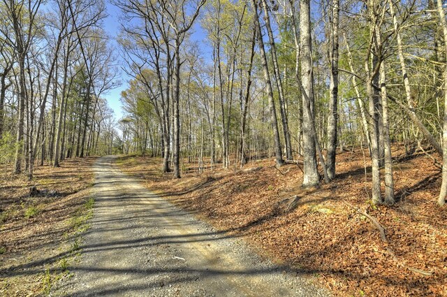 LOT13 Katie Haven Rd, Morganton, GA 30513