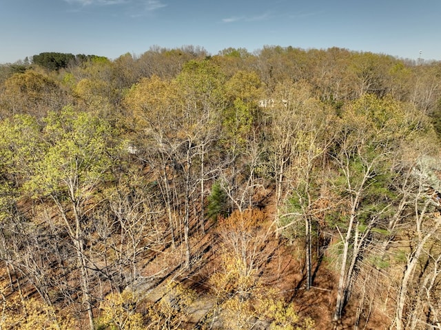 LOT13 Katie Haven Rd, Morganton, GA 30513
