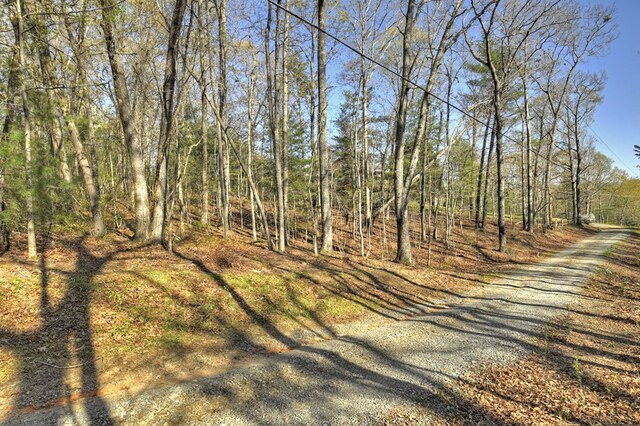 LOT13 Katie Haven Rd, Morganton, GA 30513