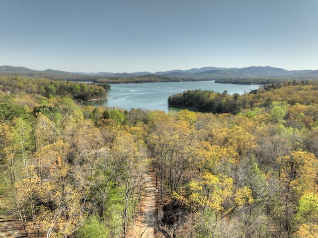 LOT13 Katie Haven Rd, Morganton, GA 30513