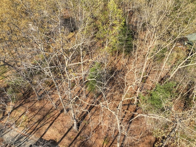 LOT13 Katie Haven Rd, Morganton, GA 30513