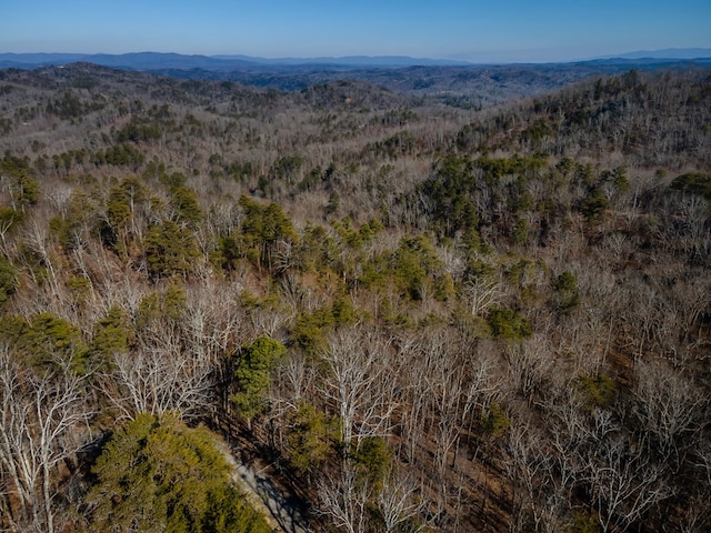 Listing photo 2 for 4.78AC Bell Ct, Ranger GA 30701