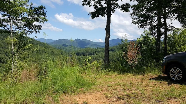 LOT22 Tyler Rdg, Murphy NC, 28906 land for sale