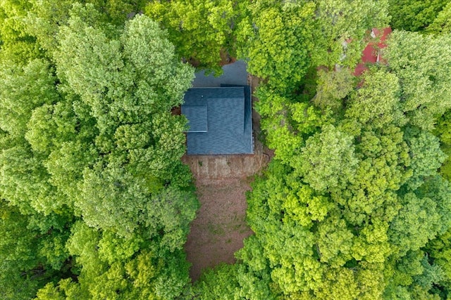 1220 Walnut Rdg, Ellijay, GA 30536 - view of property location