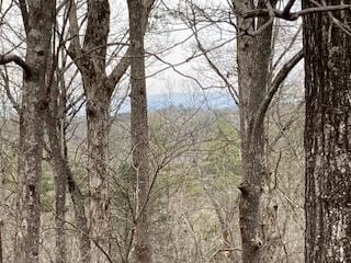 LT218 Lemmon Ln, Ellijay GA, 30540 land for sale