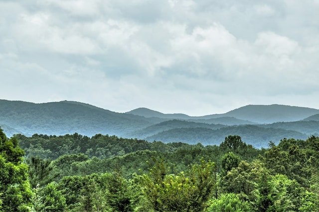 view of mountain feature