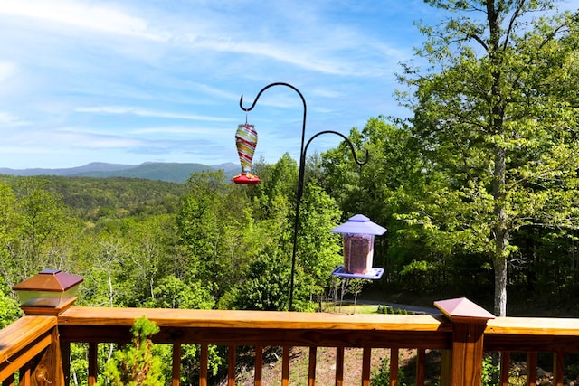 681 Confederate Cir, Murphy, NC 28906 - view of mountain feature with a forest view