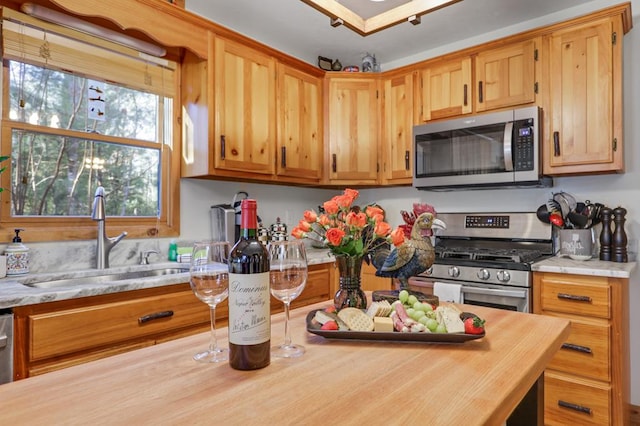 kitchen with sink and stainless steel appliances