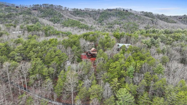 birds eye view of property featuring a mountain view