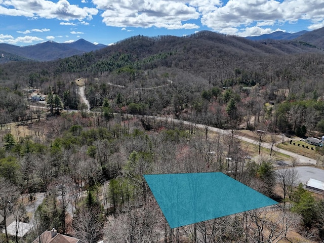 Listing photo 3 for LOT3 Sunnyside Shores Dr, Hiawassee GA 30546