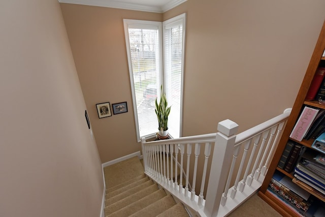 staircase featuring crown molding and carpet flooring