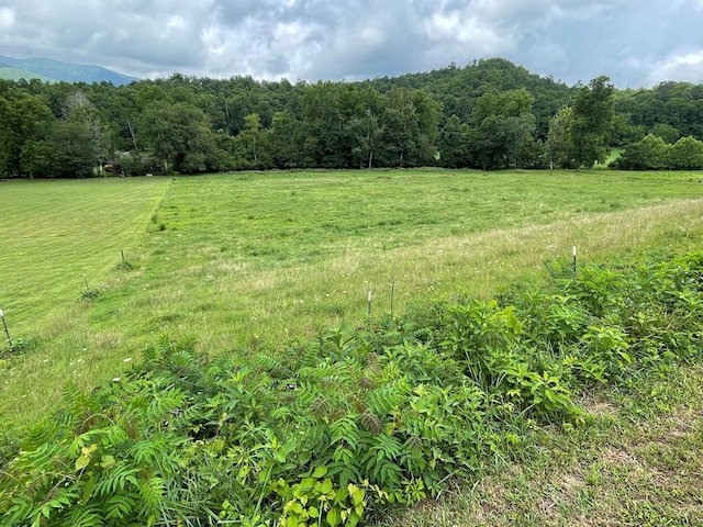 LOT4B Eagle Frk, Hayesville NC, 28904 land for sale