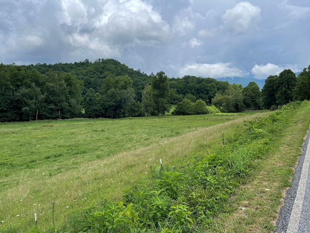 Listing photo 2 for LOT4B Eagle Frk, Hayesville NC 28904