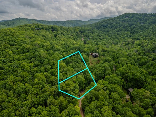 3.3ACRE Mangums Trl, Blue Ridge, GA 30513