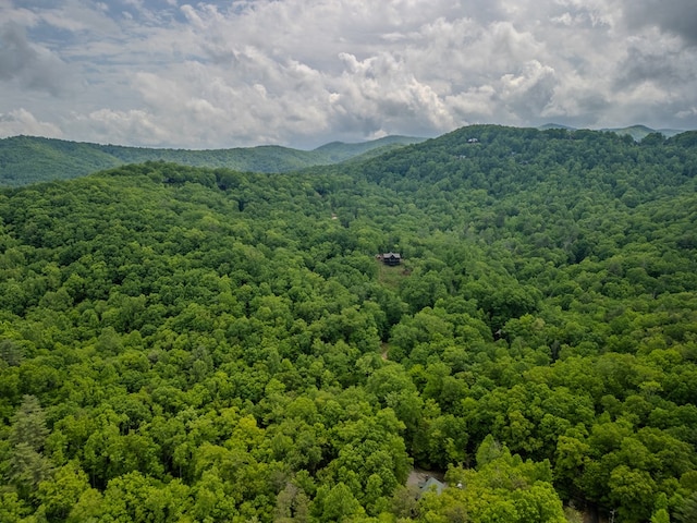 3.3ACRE Mangums Trl, Blue Ridge, GA 30513