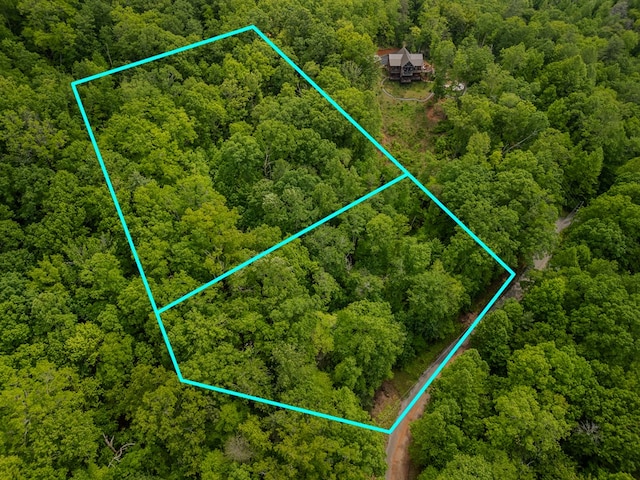 3.3ACRE Mangums Trl, Blue Ridge, GA 30513