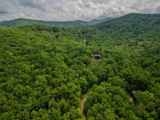 3.3ACRE Mangums Trl, Blue Ridge, GA 30513