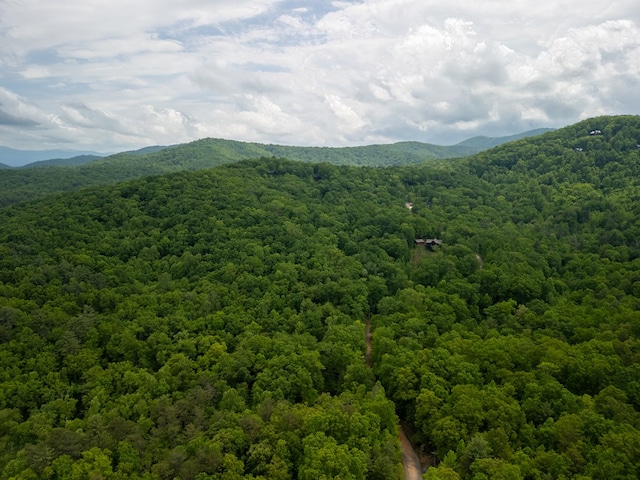 3.3ACRE Mangums Trl, Blue Ridge, GA 30513