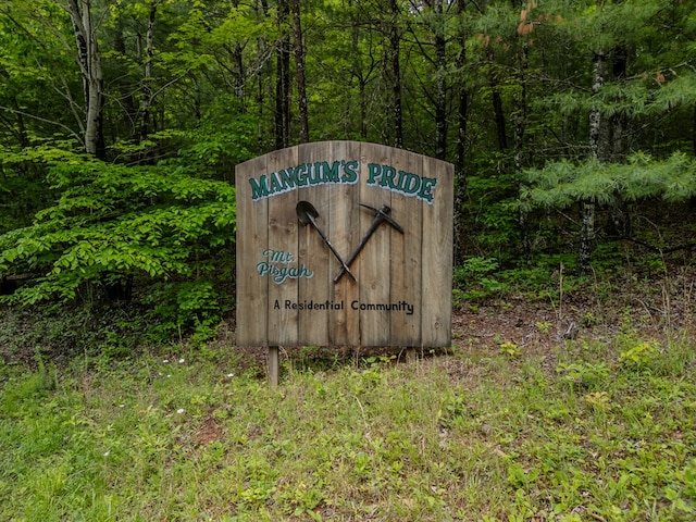 3.3ACRE Mangums Trl, Blue Ridge, GA 30513